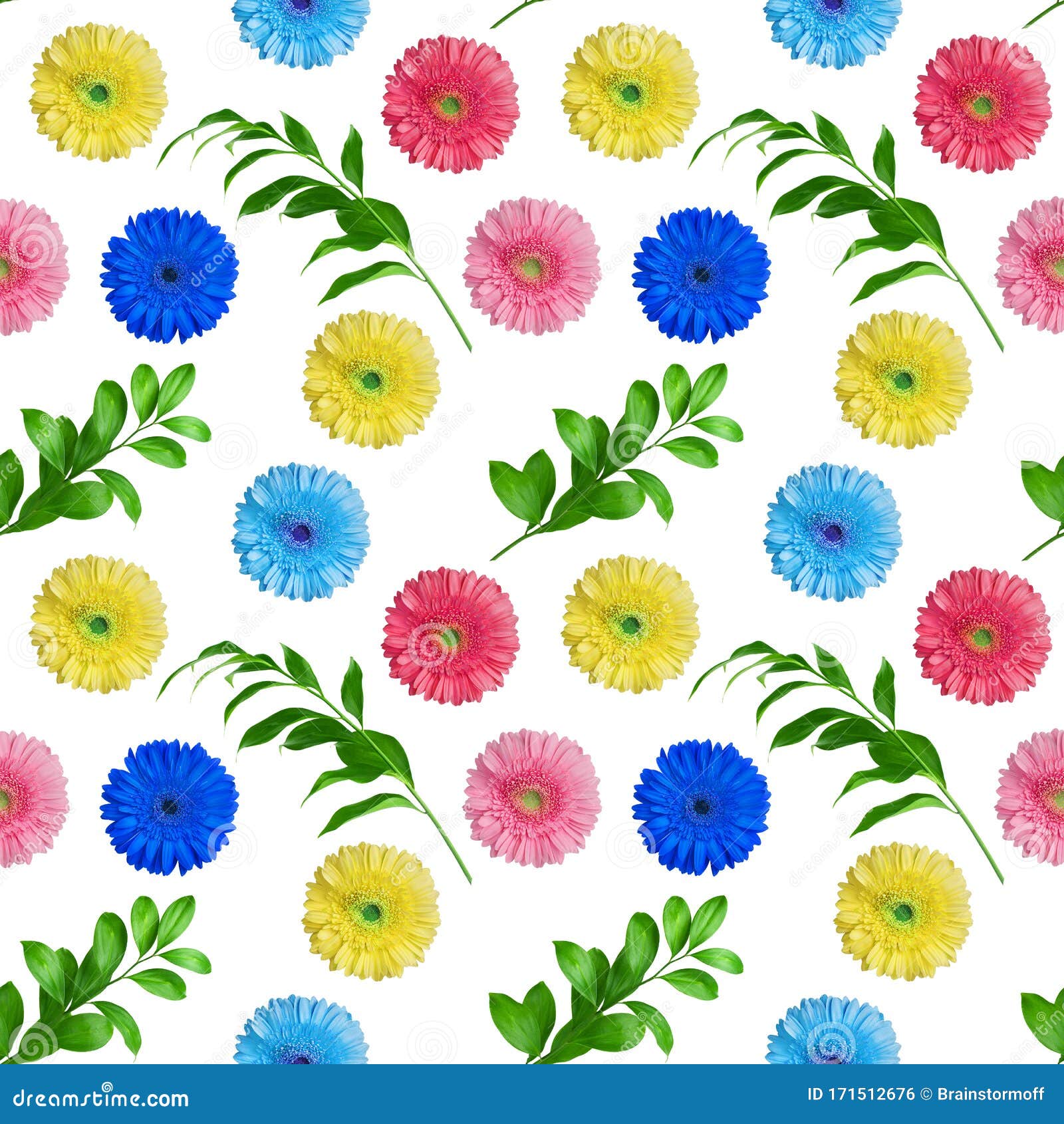 seamless pattern of colorful gerbera flowers and green leaves on white background , multi-colored daisy flower ornament