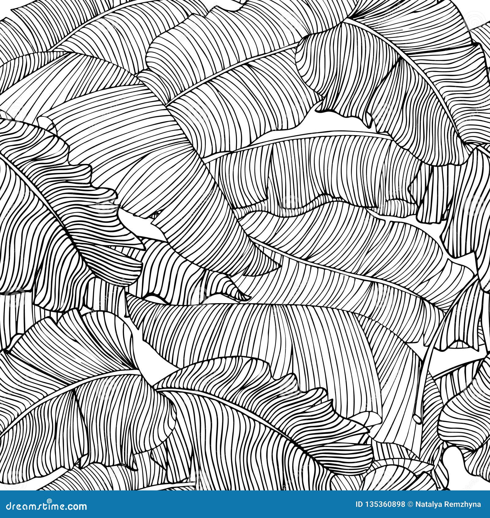 Seamless Pattern of Exotic, White Banana Leaves with a Black Outlines Isolated on a Transparent Background. Stock Vector - Illustration of exotic, botanical: 135360898 Seamless Pattern Of Exotic, White Banana Leaves With A Black Outlines Isolated On A Transparent Background. Stock Vector - Illustration Of Exotic, Botanical: 135360898