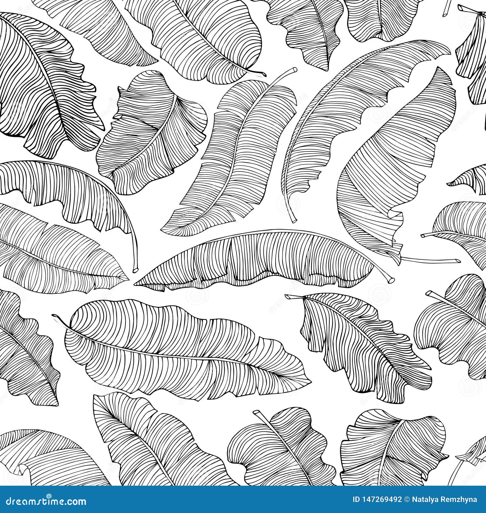 Seamless Pattern of Exotic, White Banana Leaves with a Black Outlines