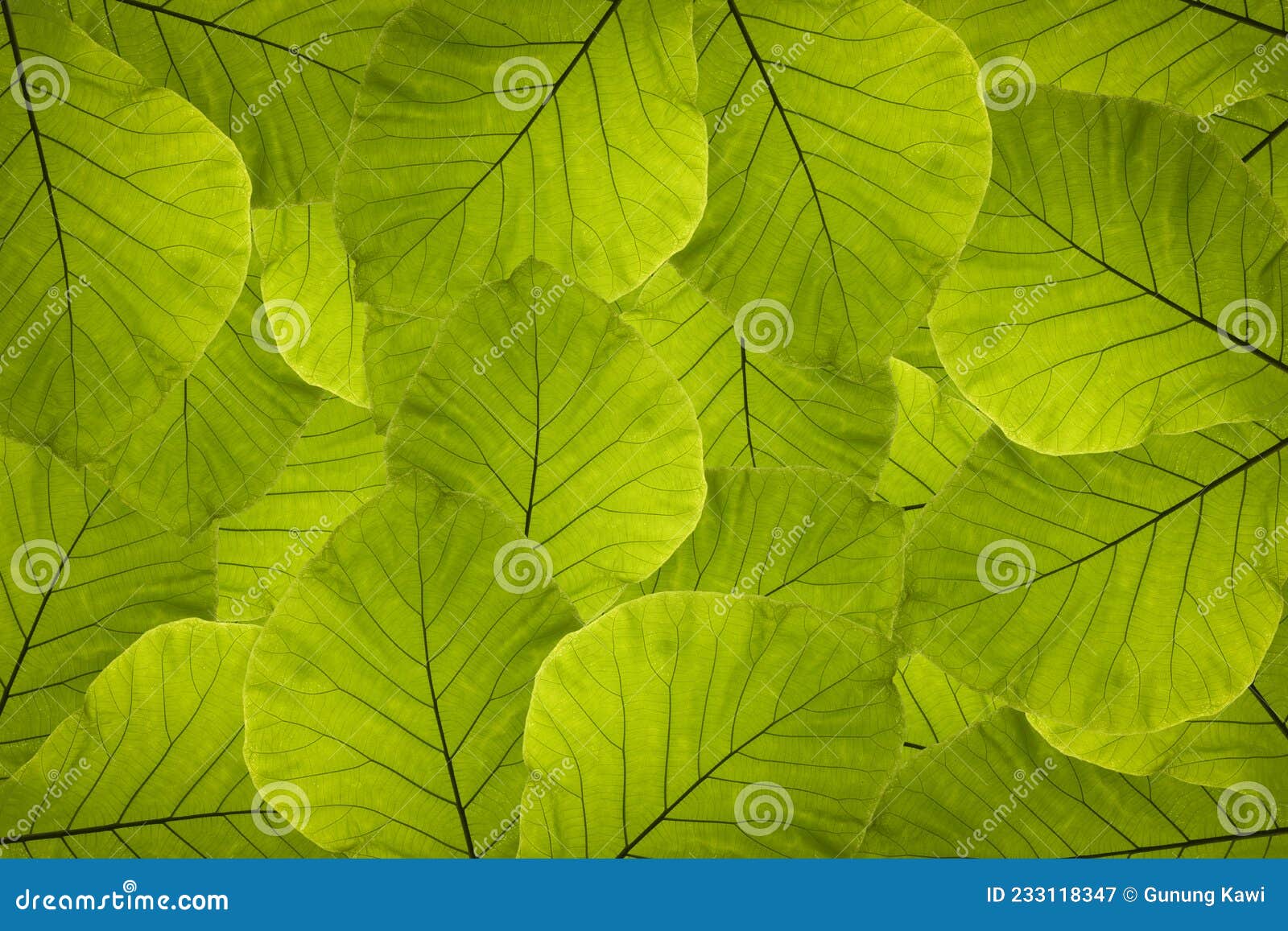 green leaves. green tropical background in watercolor style.  natural, botanical, elegant pattern. save