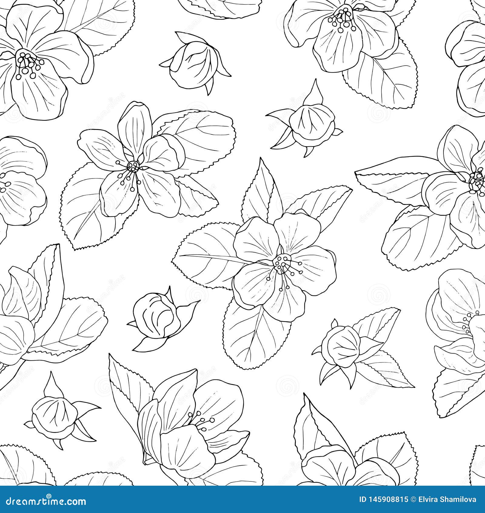 Download Seamless Pattern Of Hand-drawn Apple Blossom, Coloring ...