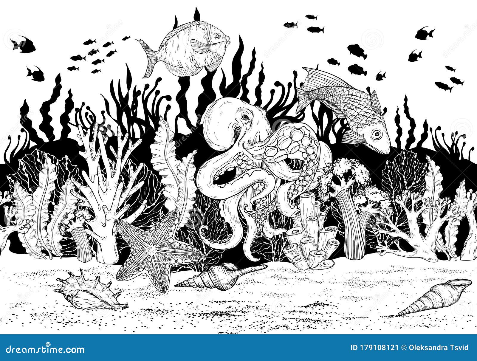 corals clipart black and white