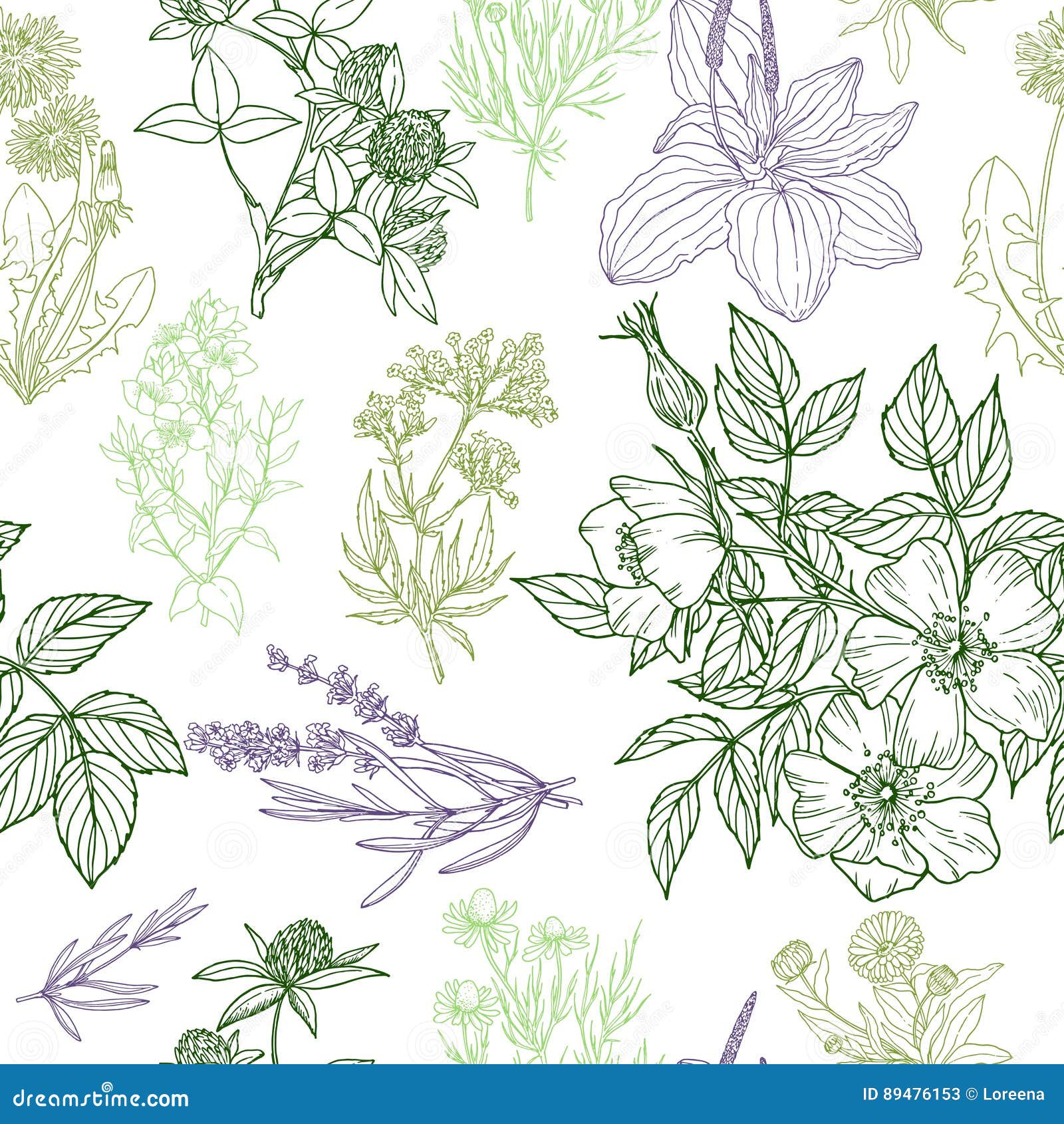 seamless pattern, medicinal herbs and flowers