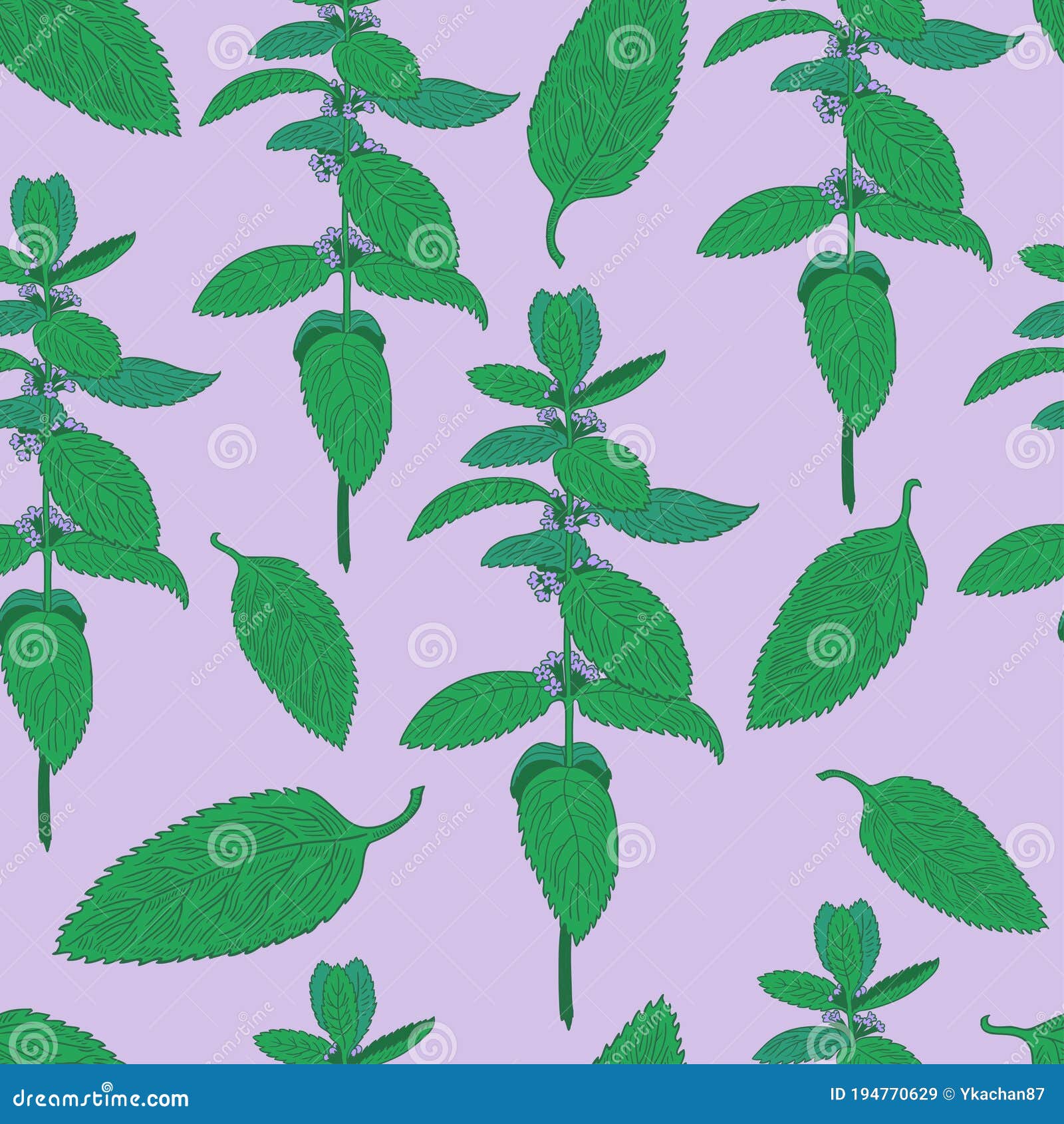 Seamless Pattern with Mint Leaves and Plants. Hand Drawing Stock Vector
