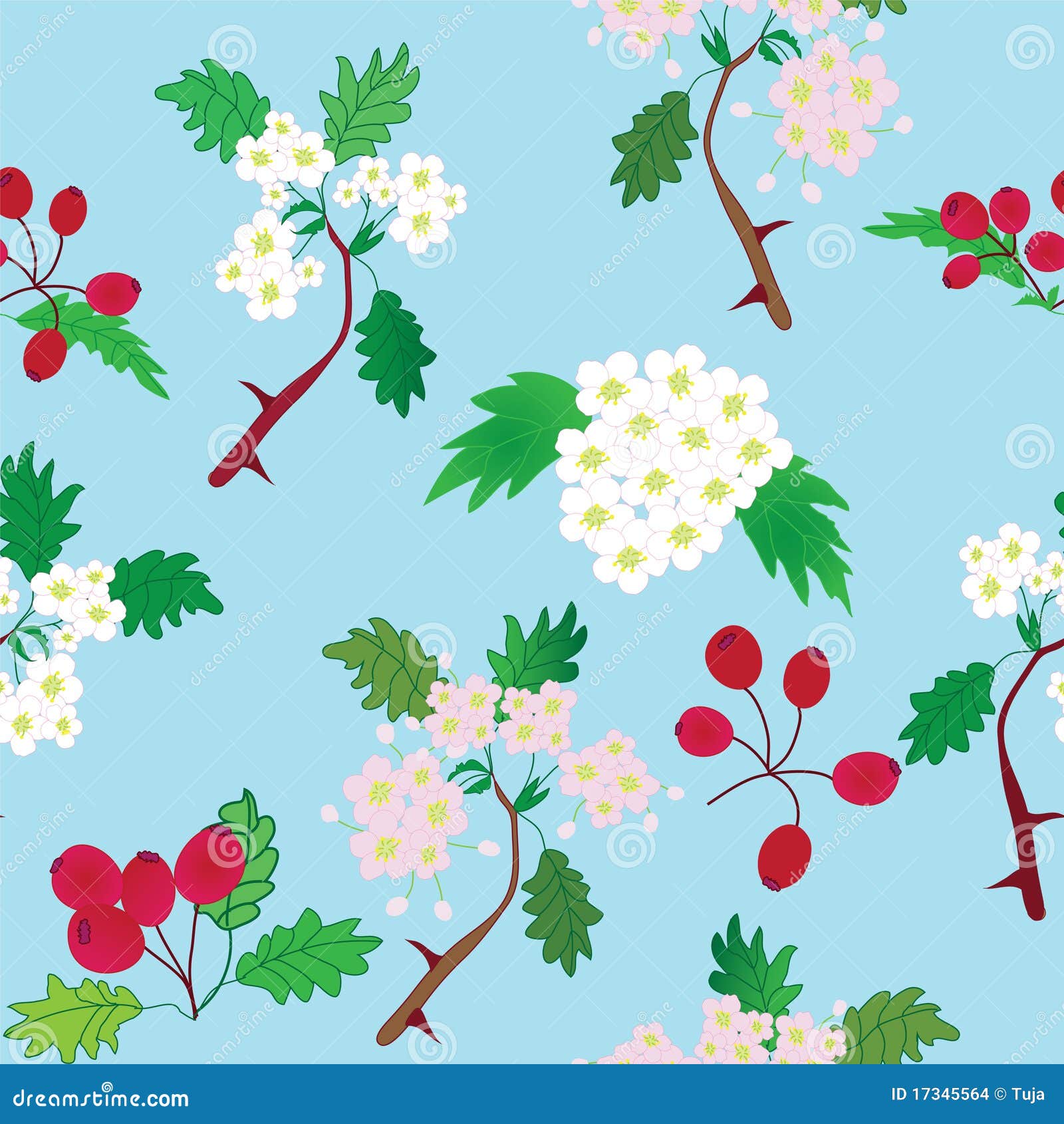 seamless pattern with officinal hawthorn