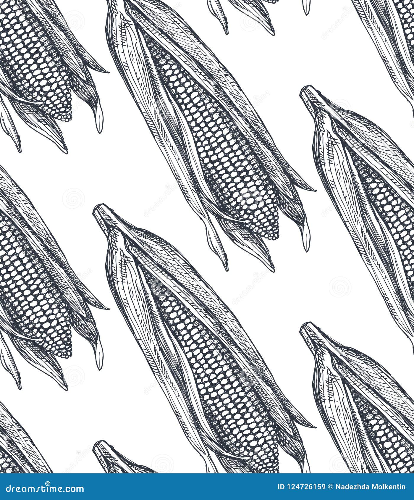 Seamless Vector Pattern with Hand Drawn Sketched Corn. Stock Vector