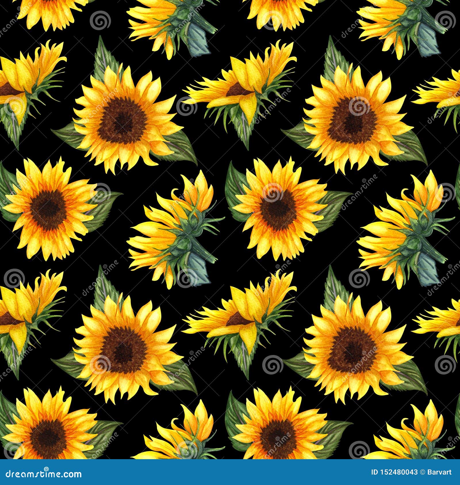 Sunflowers On Black 