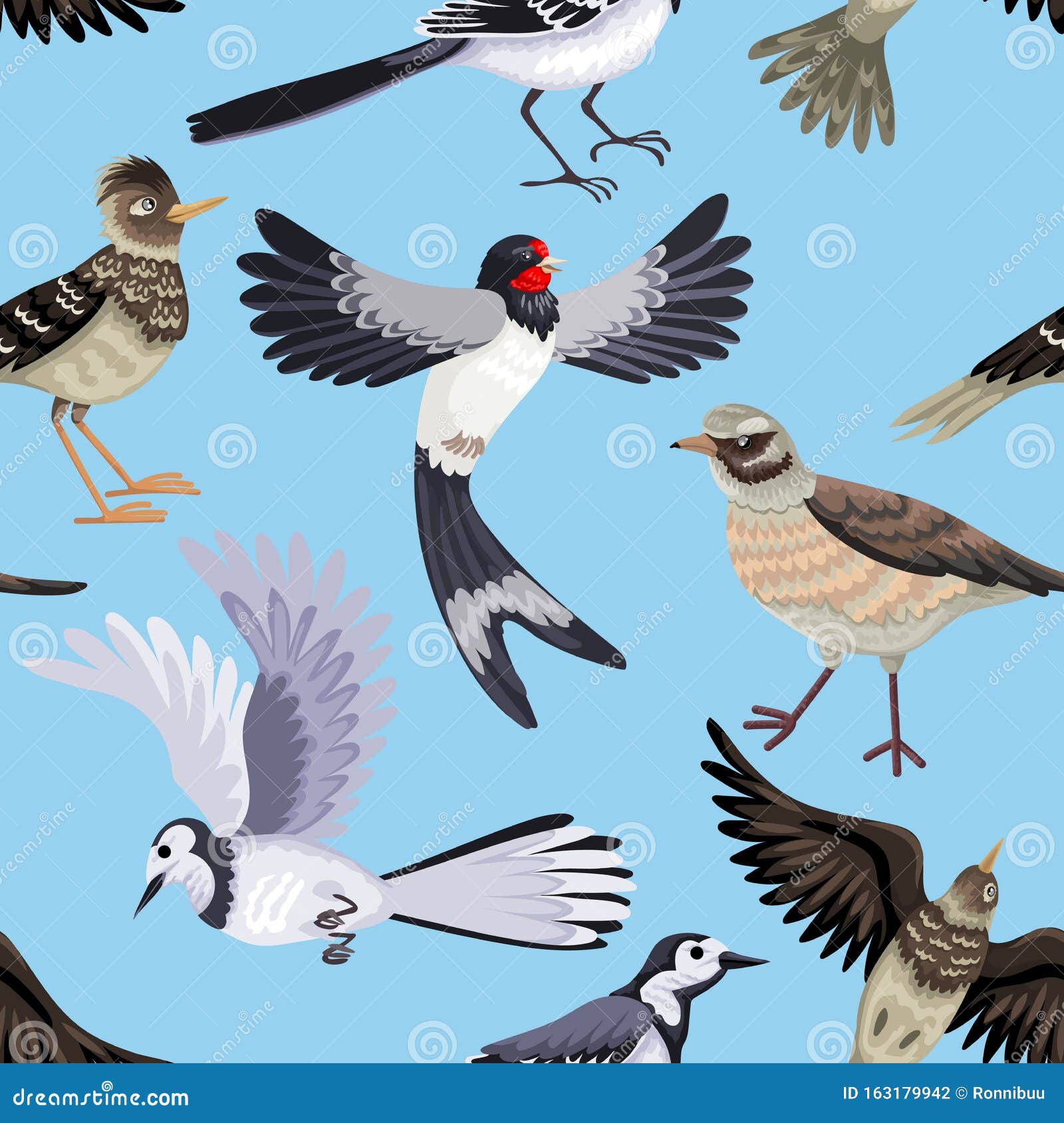 Seamless Pattern from Various Migratory Birds. Feathered Animals. Stock Vector - Illustration of ornithology, animal: 163179942 Seamless Pattern from Various Migratory Birds. Feathered Animals. Stock Vector - Illustration of ornithology, animal: 163179942