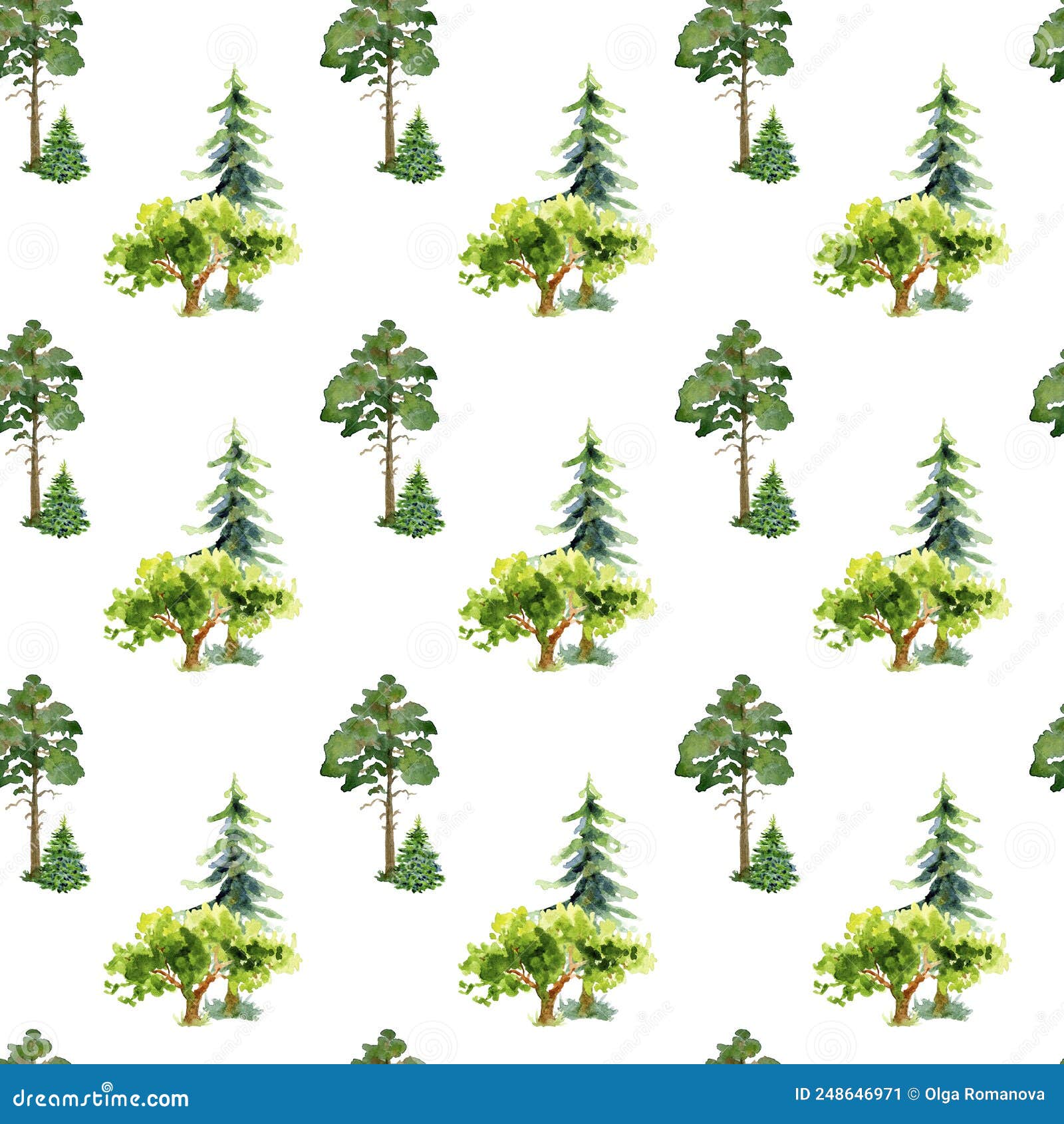 Seamless Pattern of Watercolor Spruce Trees, Pine Trees with Grass