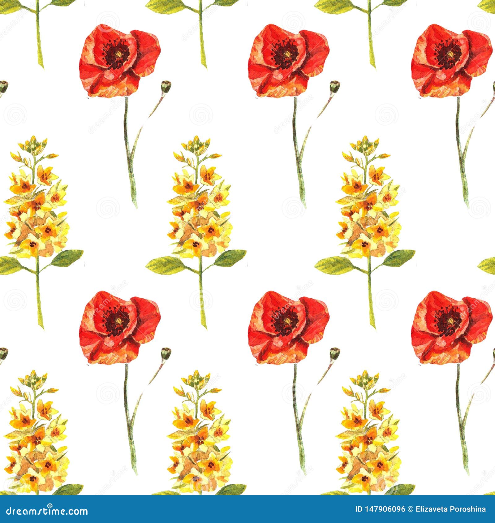 seamless pattern with watercolour hand painted poppies and eremurus