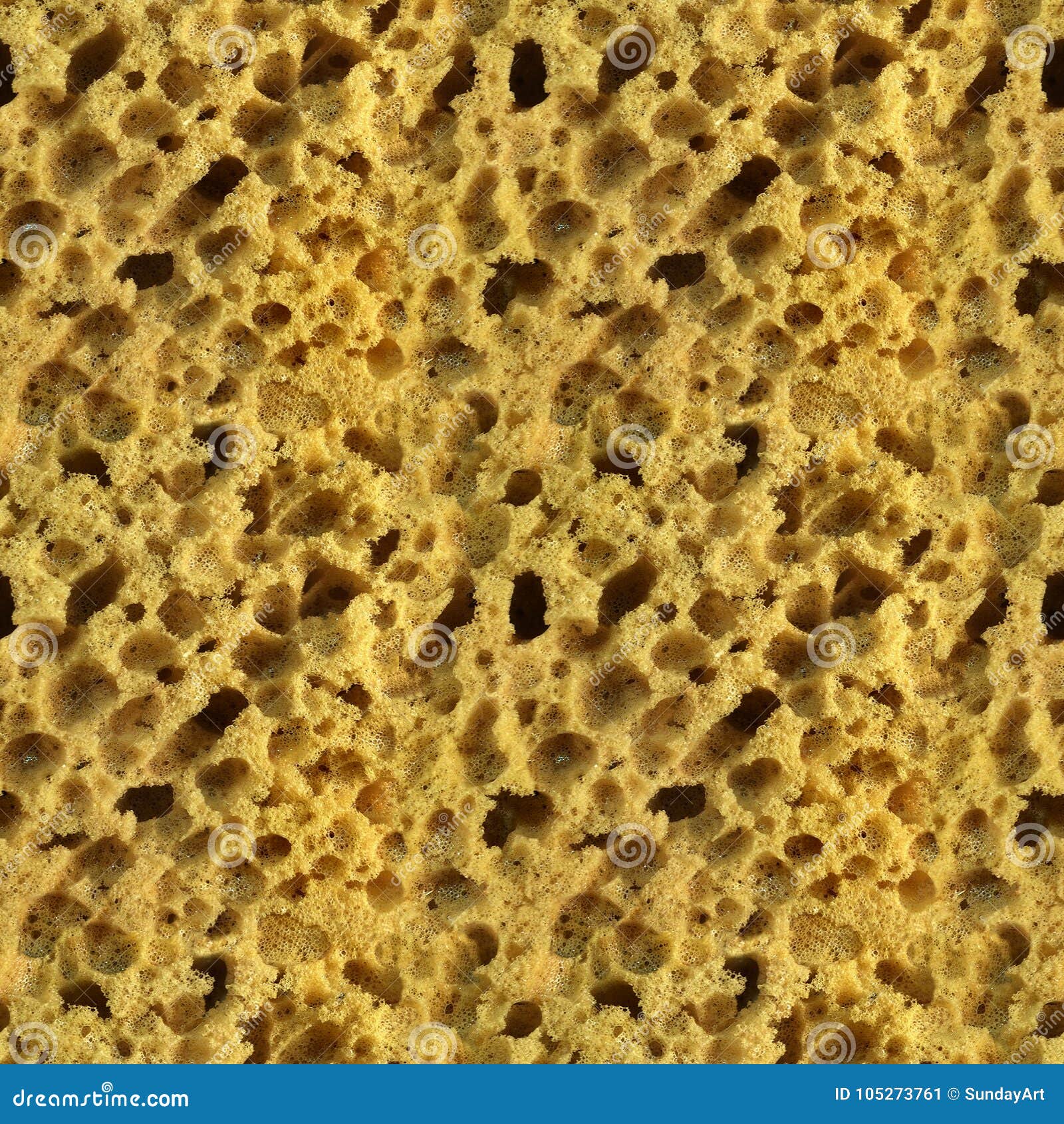 Yellow sponges stock image. Image of textured, pores - 30249997