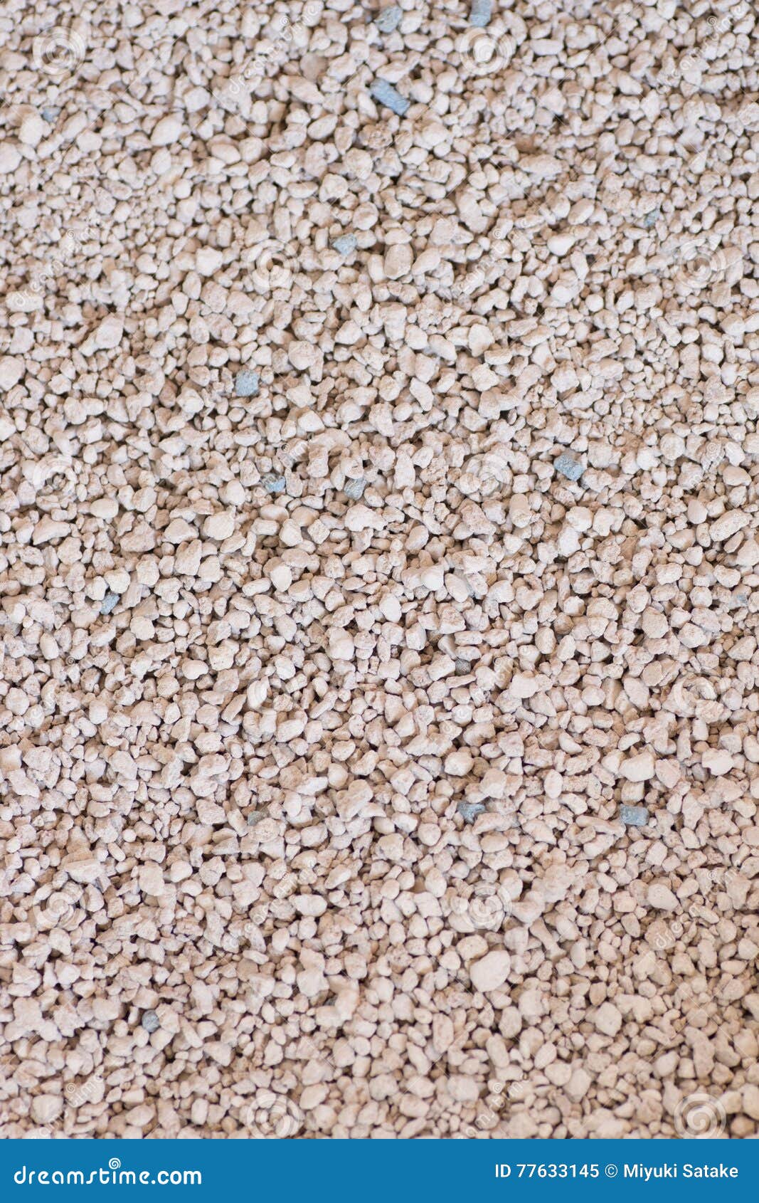 Seamless Picture of Cat Litter Stock Image Image of backgrounds