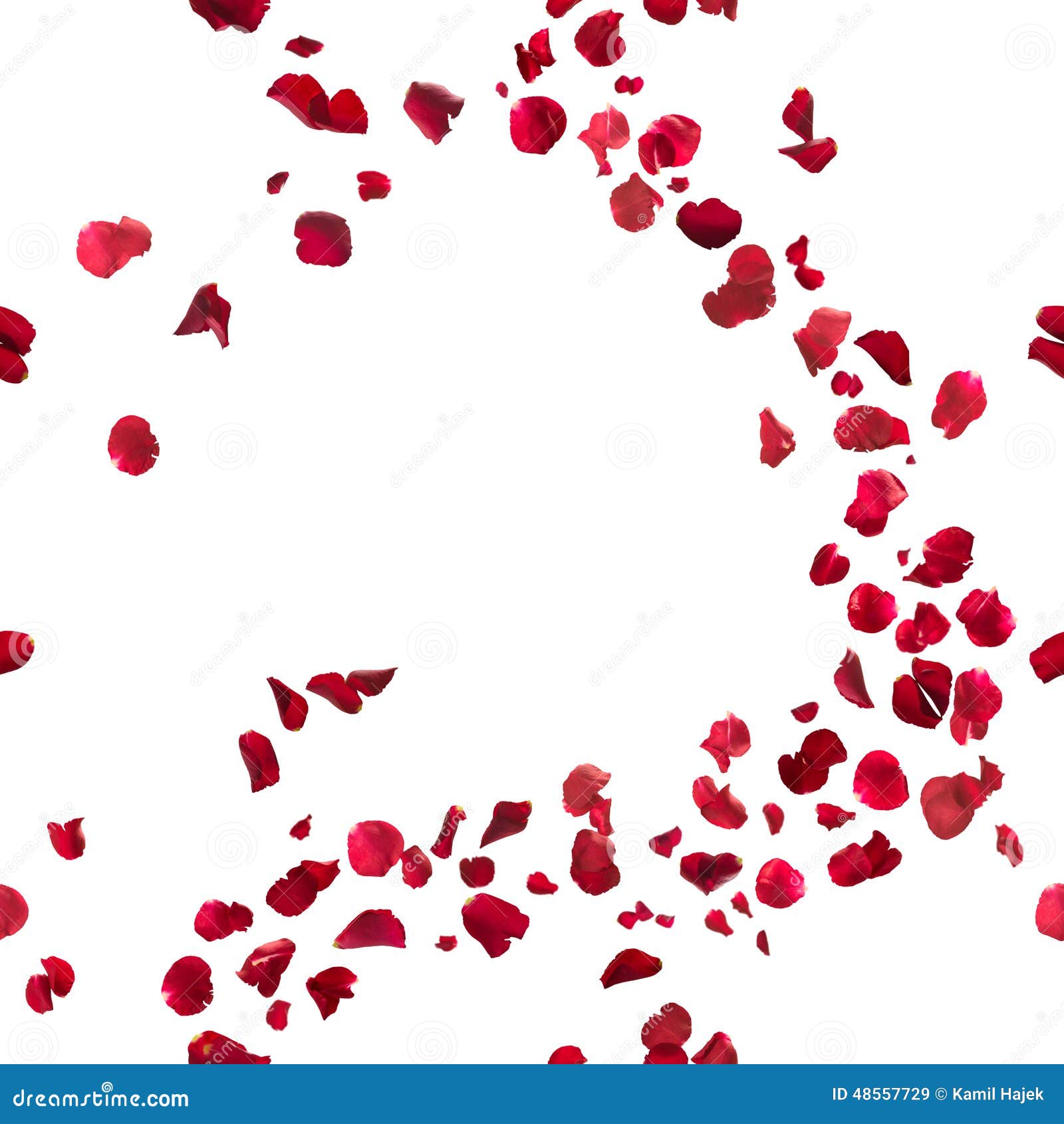 seamless red rose petals breeze