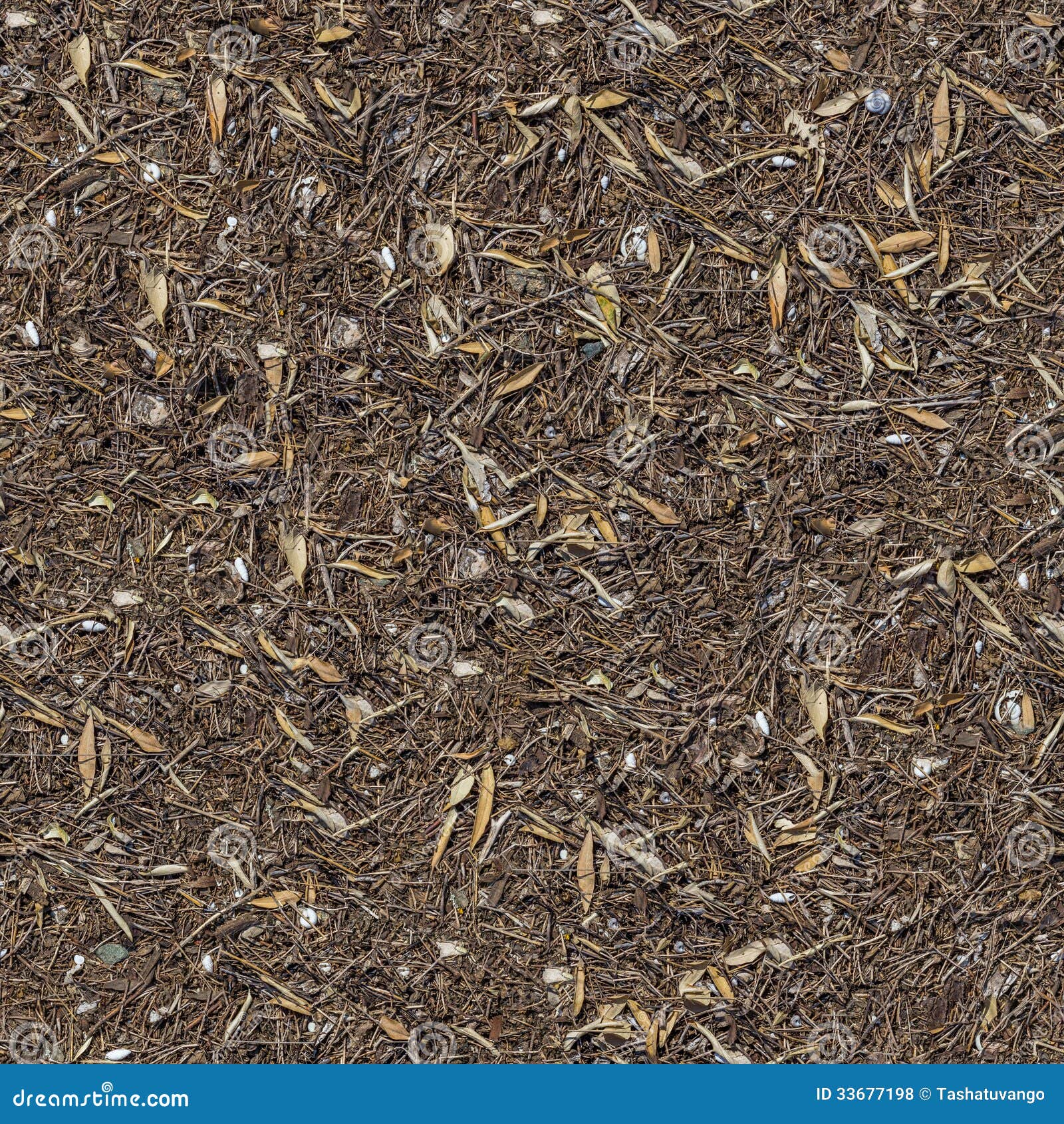 seamless texture of the ground with dry herbs.