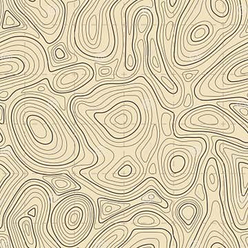 Seamless Topographic Map Texture. Cartography Elevation Maps Contour ...