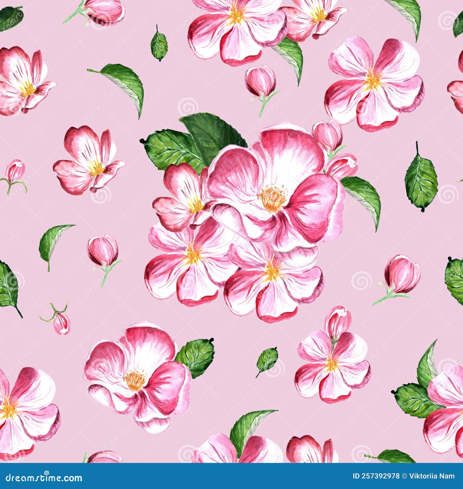 Seamless Watercolor Pattern Spring Apple Tree Flowers on Pink