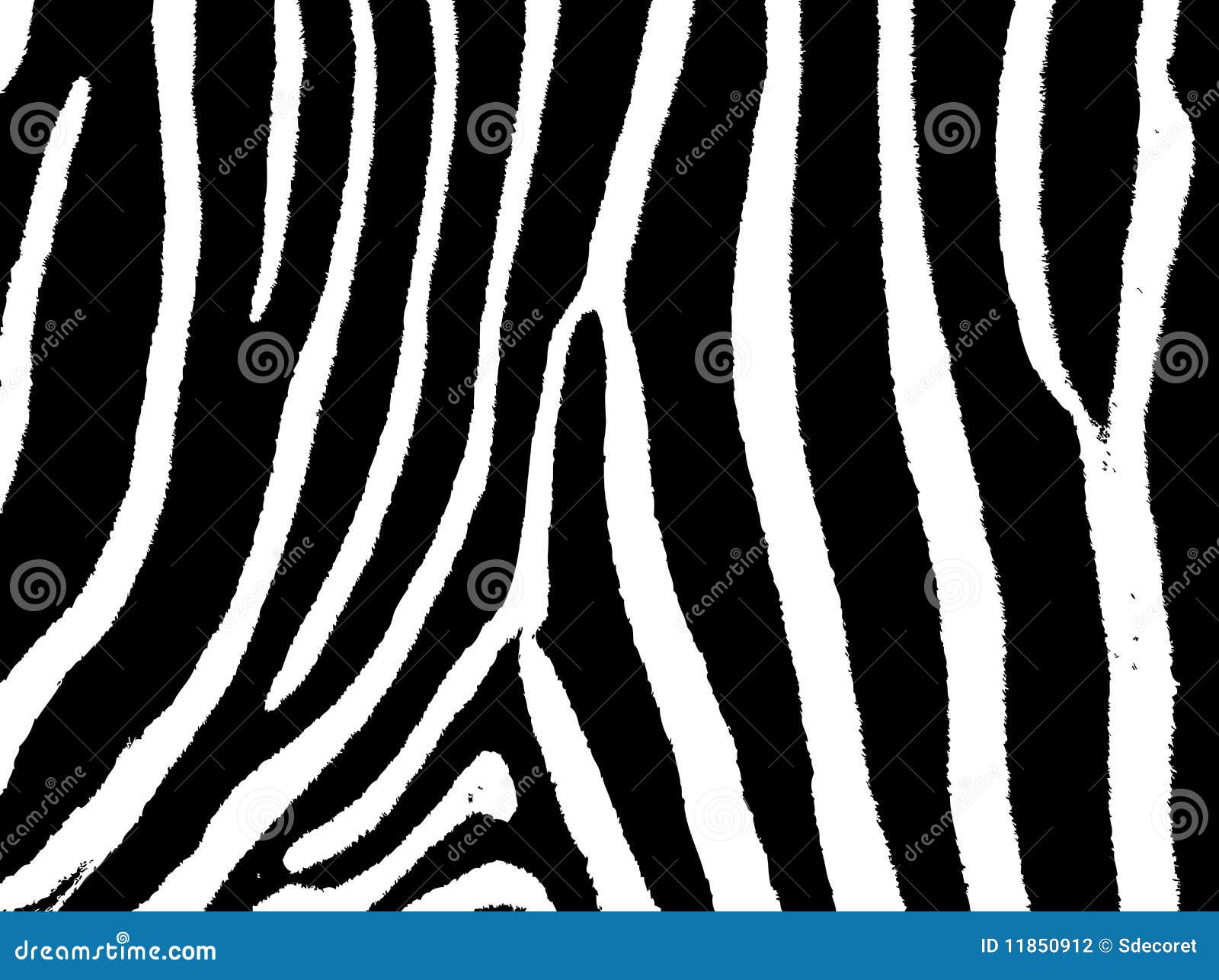 Seamless zebra skin pattern fur print