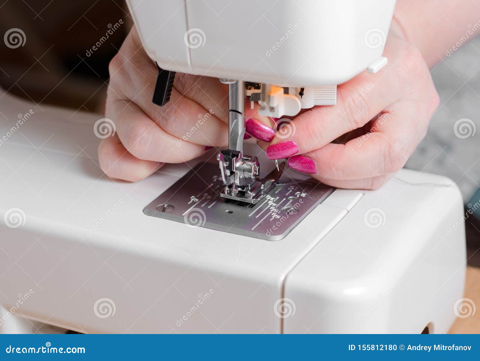 A Seamstress Puts the Needle in the Sewing Machine Stock Photo Image