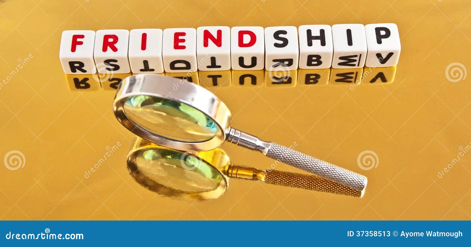 search for friendship