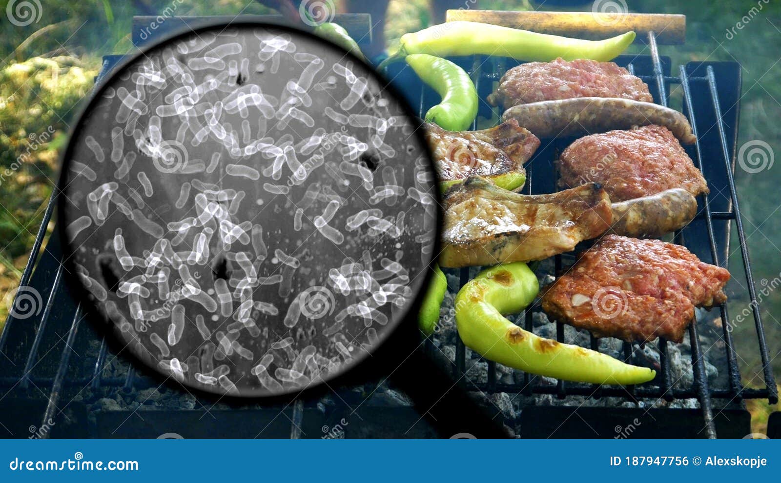 Searching for Bacteria on BBQ Meat Stock Photo Image of mold