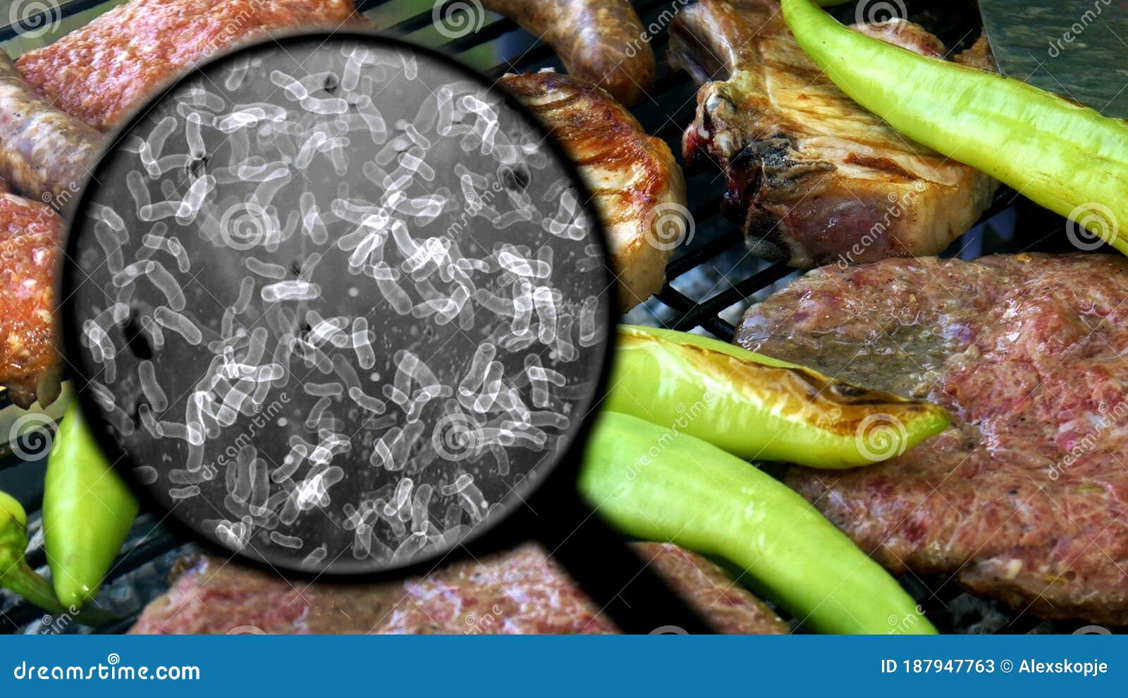 Searching for Bacteria on BBQ Meat Stock Image Image of salmonella