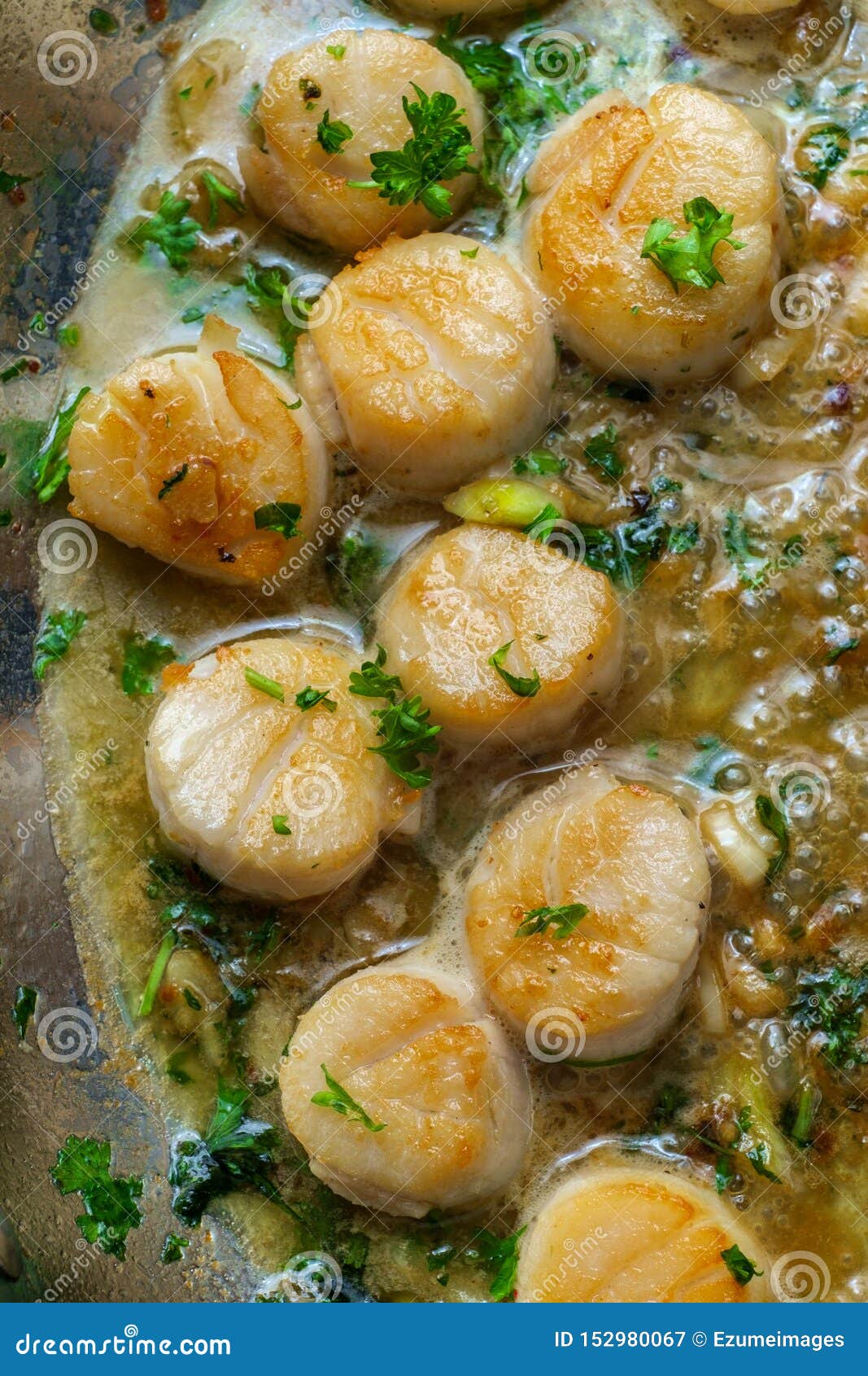 seared portuguese garlic scallops