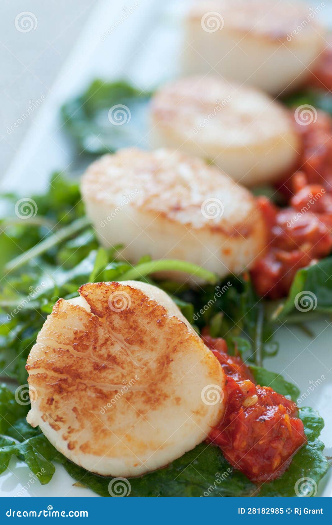 Seared Scallop Appetizer stock image. Image of cuisine 28182985