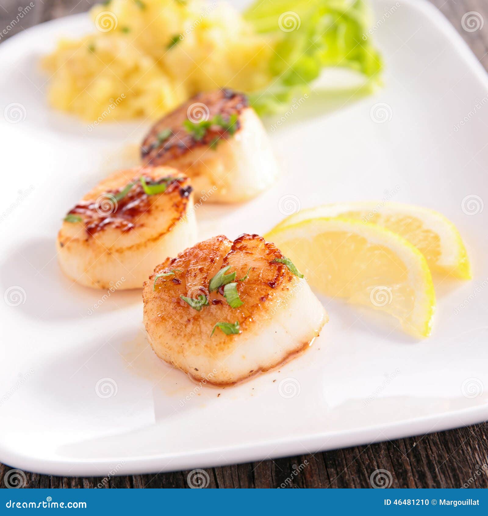 Seared scallop stock photo. Image of close, dinner, culinary 46481210