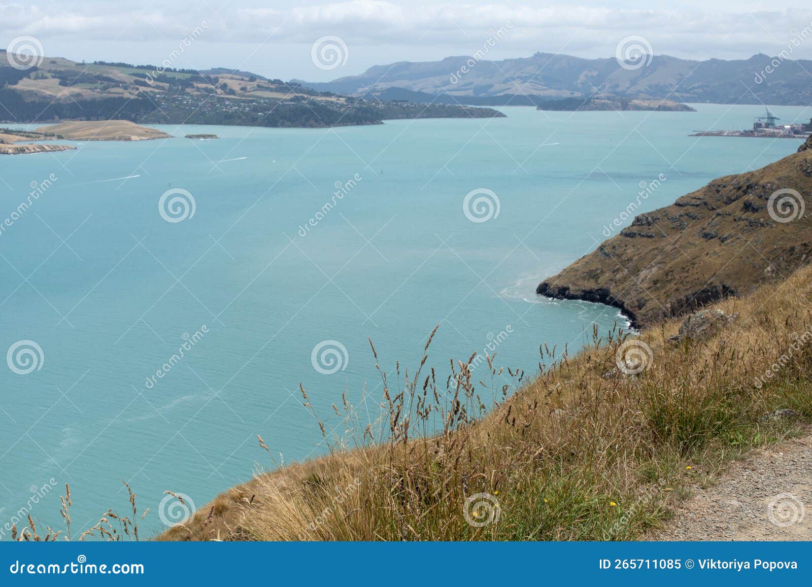 Seascape From A National Park In New Zealand A Sea Bay With A Rocky