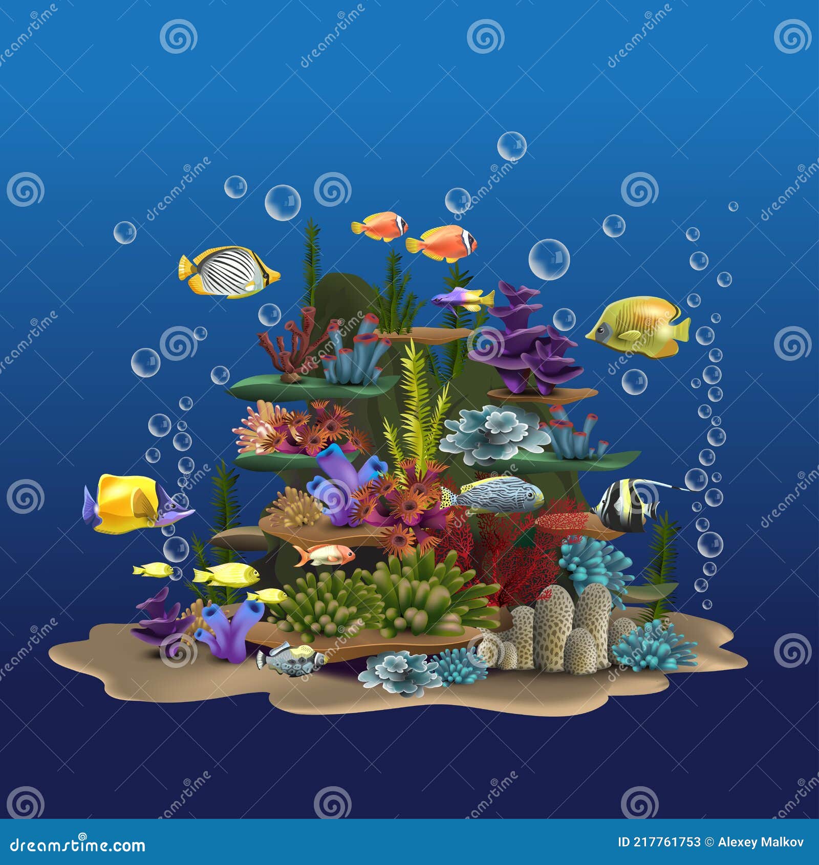 My Image 3