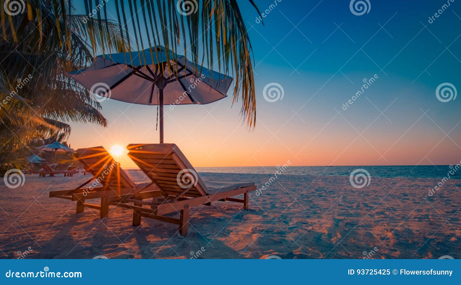 Seashell Do Scallop Na Cor-de-rosa Paisagem Bonita Da Praia Cena Tropical  Da Natureza Palmeiras E Céu Azul Conceito Das Férias De Foto de Stock -  Imagem de feriado, nuvens: 93726550