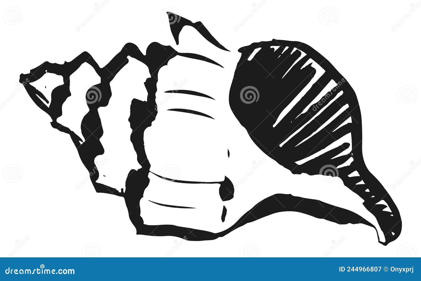 seashell in hand drawn style. beach . travel souvenir
