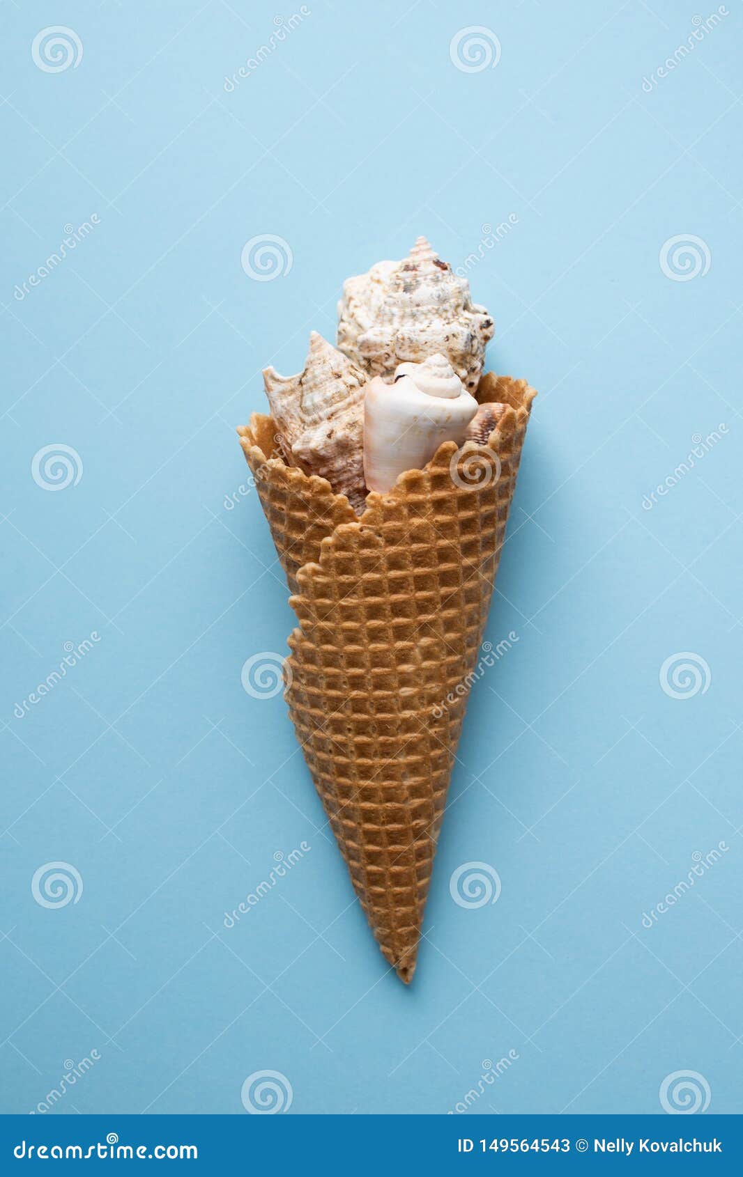 Seashell and Ice Cream Cone Stock Image Image of collection, cone