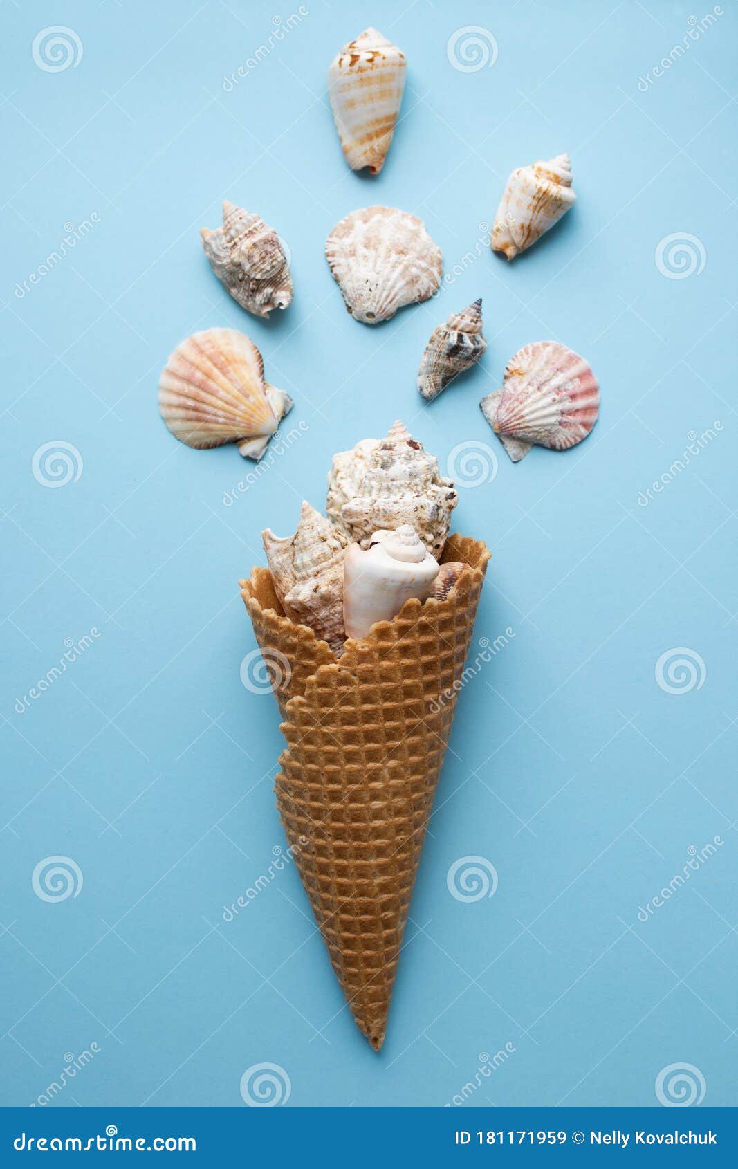 Seashell and Ice Cream Cone Stock Image Image of coral, icecream