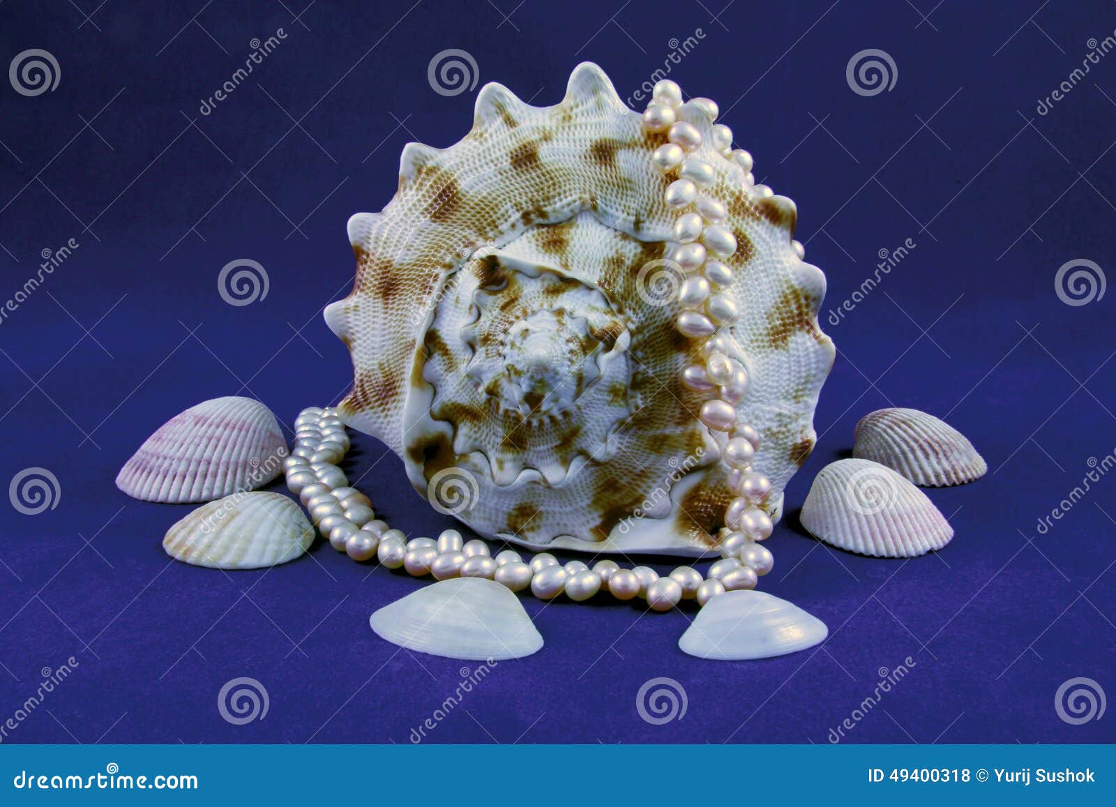Seashell and pearls stock photo. Image of ball, beach - 49400318