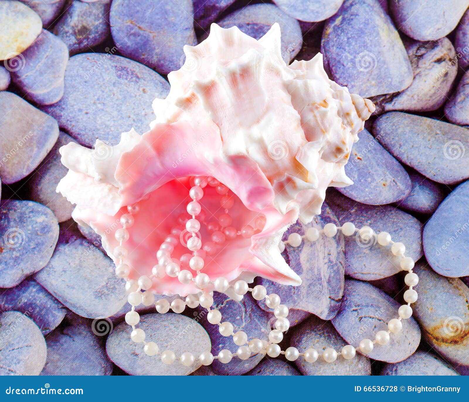 Seashell and a String of Pearls. Stock Photo Image of pearl, pebbles