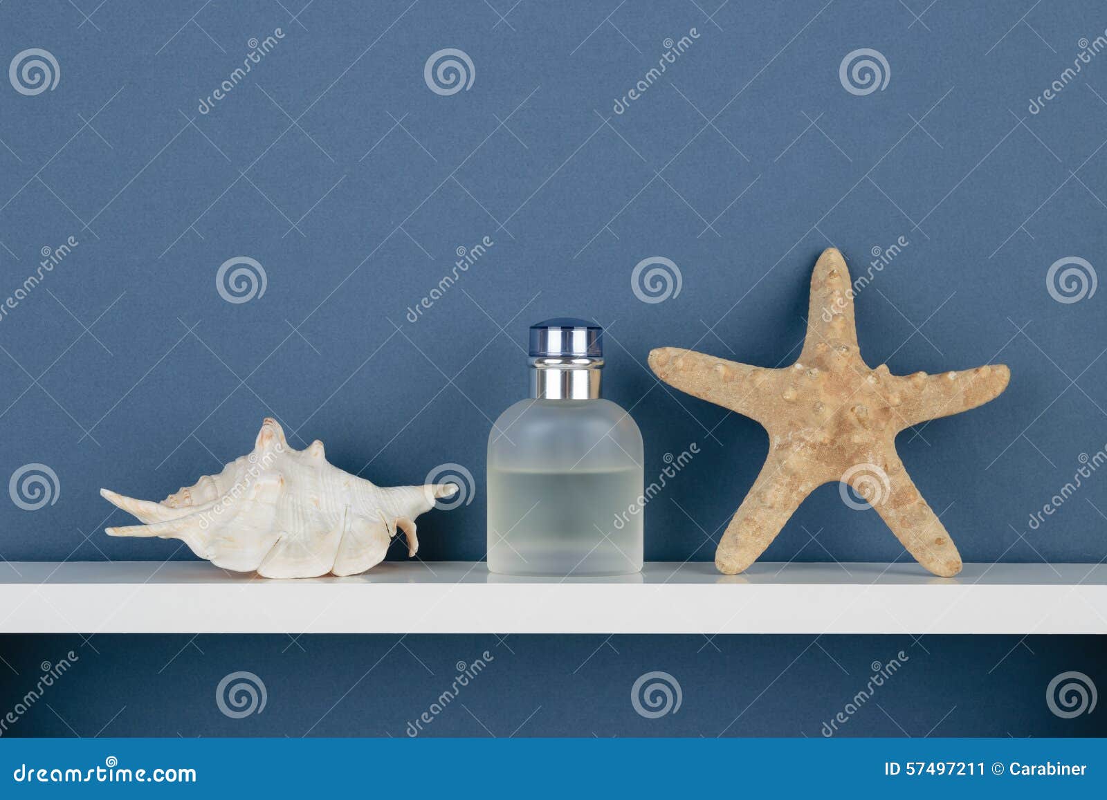 Seashell And Perfume On White Shelf On Blue Wallpaper Stock Image Image Of House Decorative