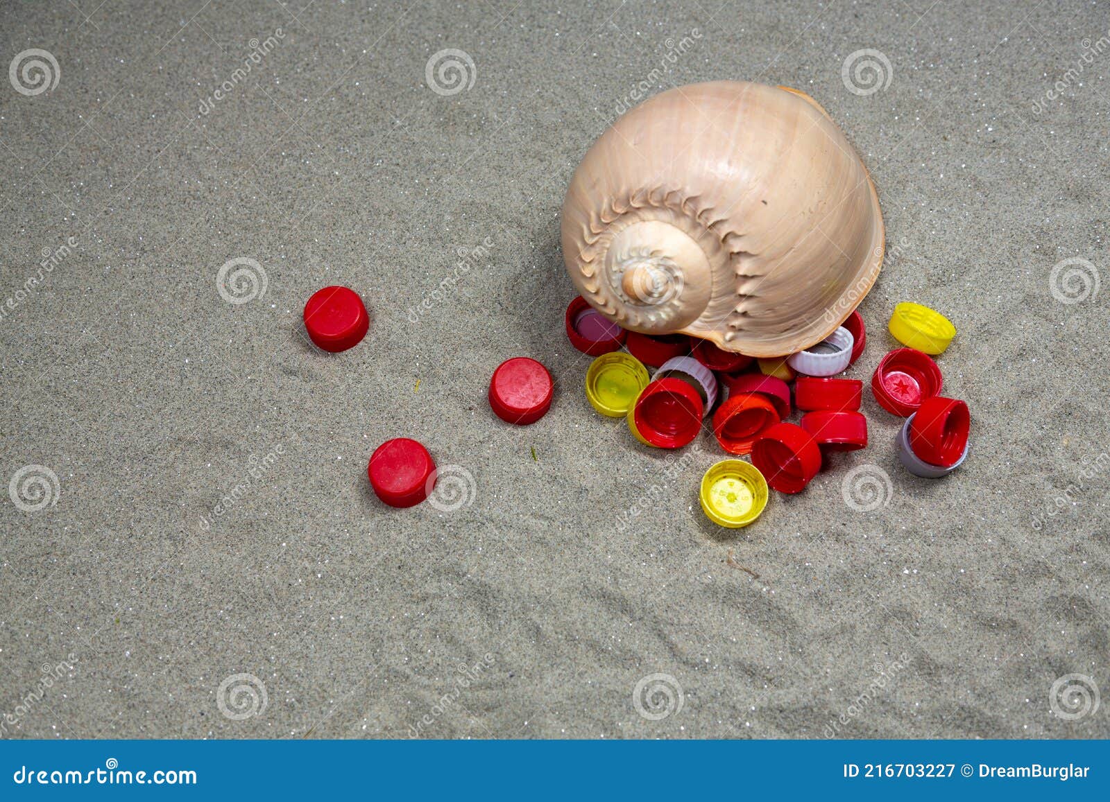 Seashell with Plastic Bottle Plugs 2 Stock Image Image of slug