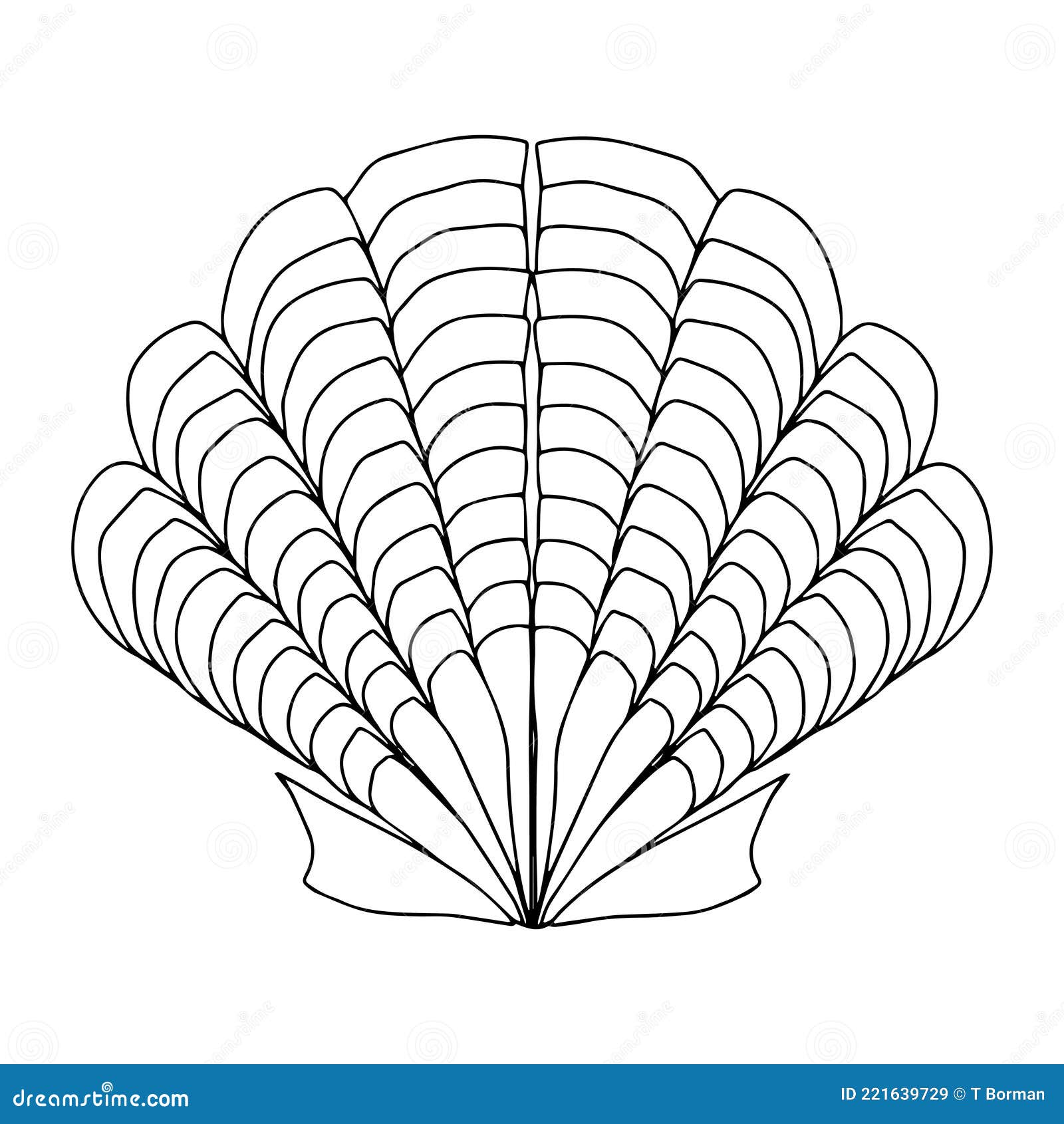 Outline drawing shell hi-res stock photography and images - Alamy