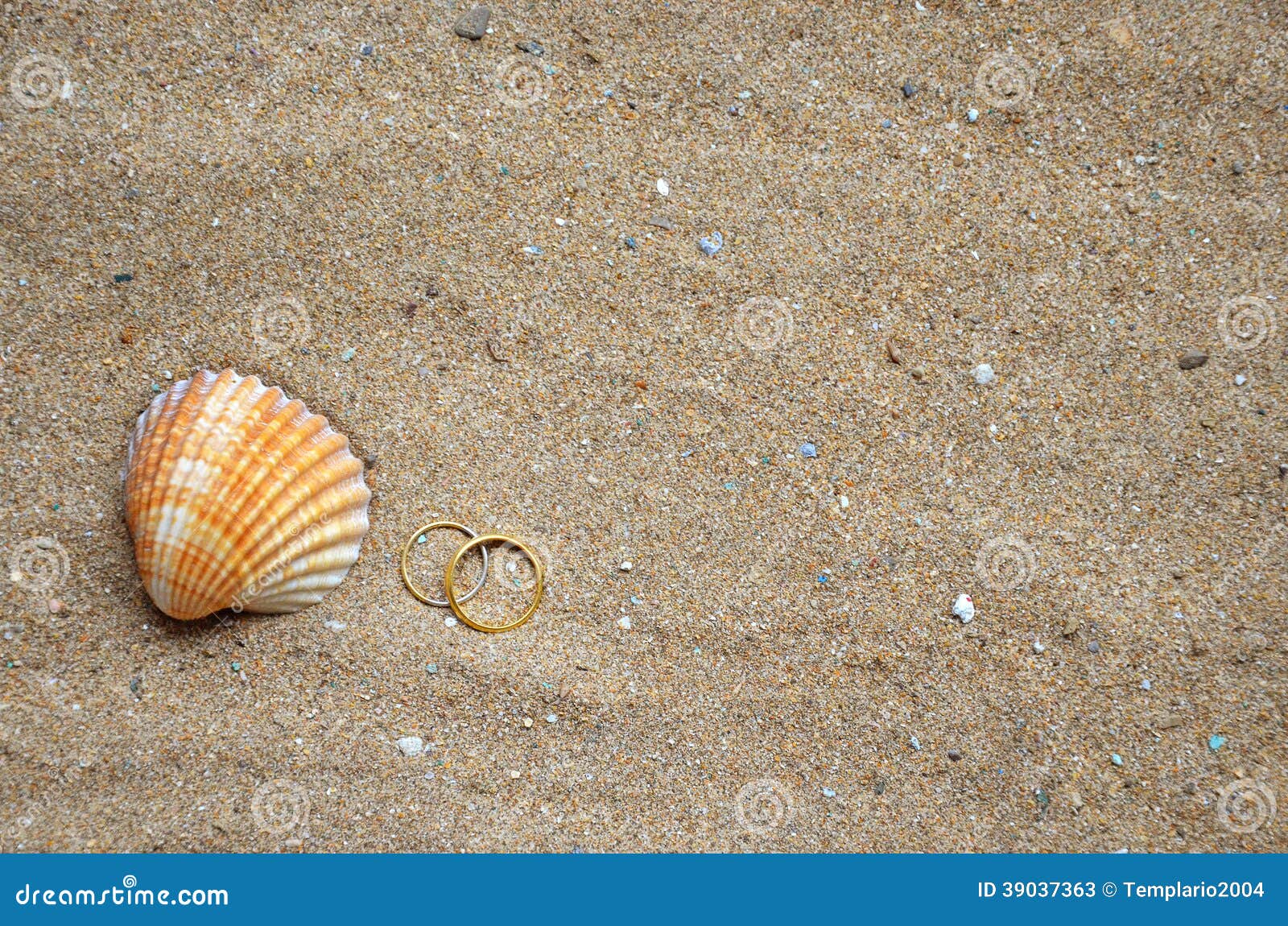 Seashell and Wedding Rings on the Sand Stock Image Image of wedding, nature 39037363