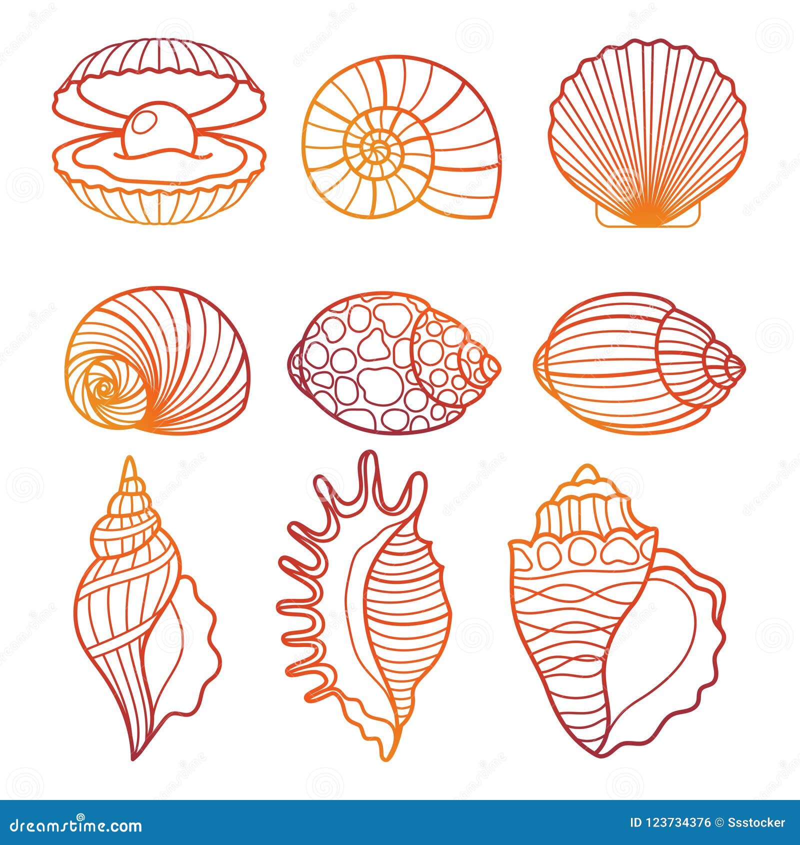 seashells. colorful outline seashell set  