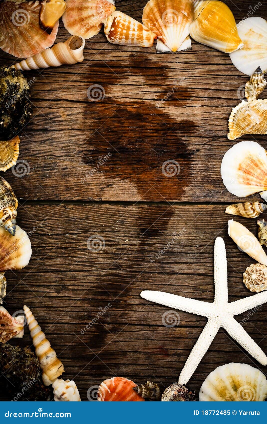 Seashells frame stock image. Image of decorative, background - 18772485