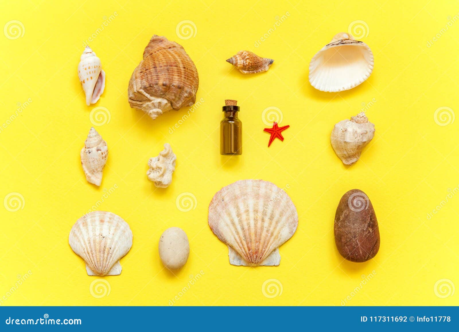 Download Seashells And Glass Bottle On A Yellow Background Stock Photo Image Of Lifestyle Ocean 117311692 Yellowimages Mockups