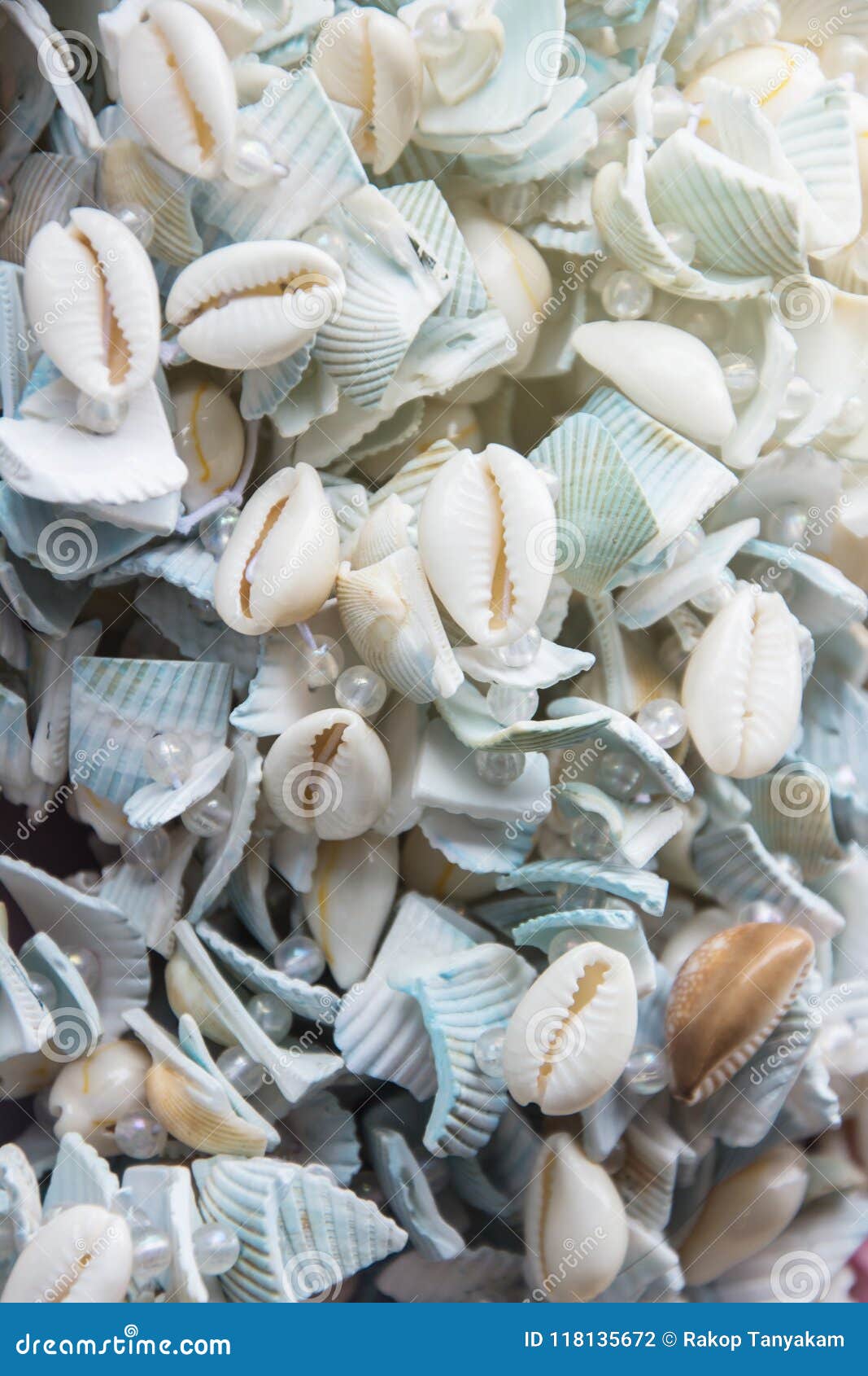 seashell loop