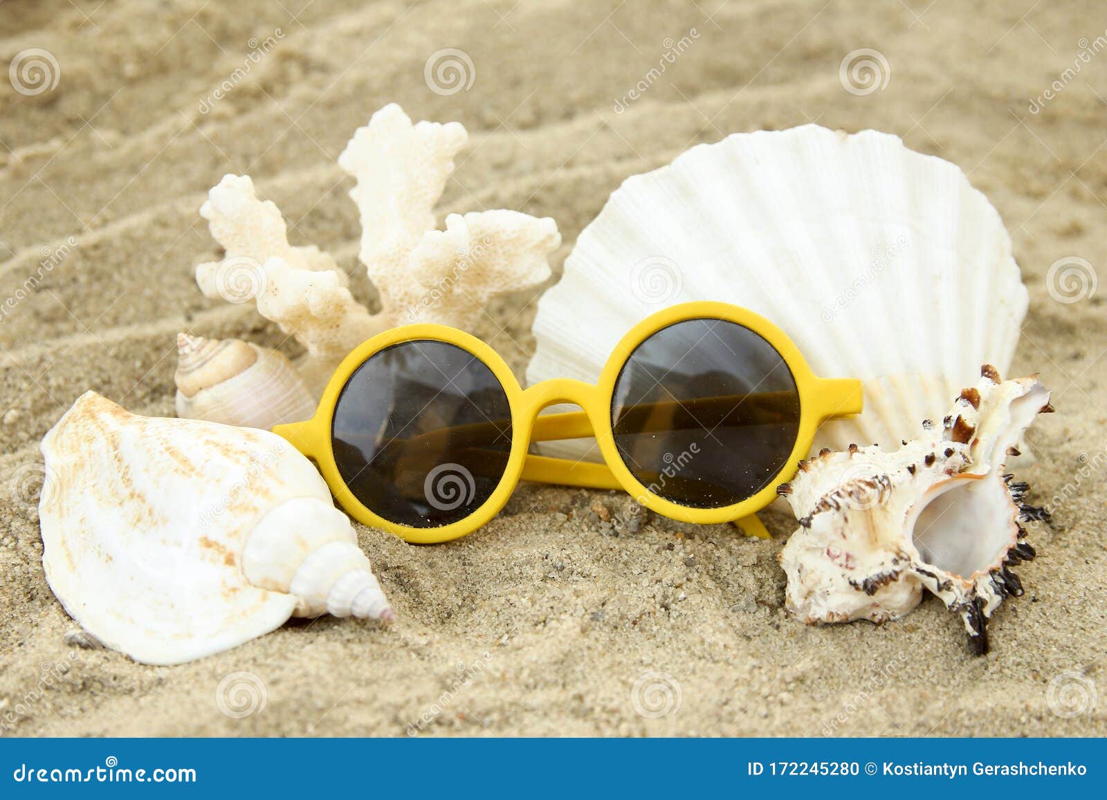 Seashells on Sand Background Stock Photo - Image of seashells, beach ...