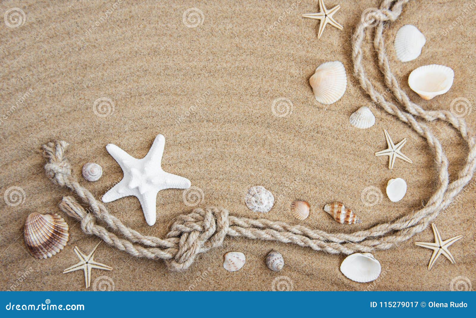 Seashells and Sea Decorations with Rope Stock Image - Image of