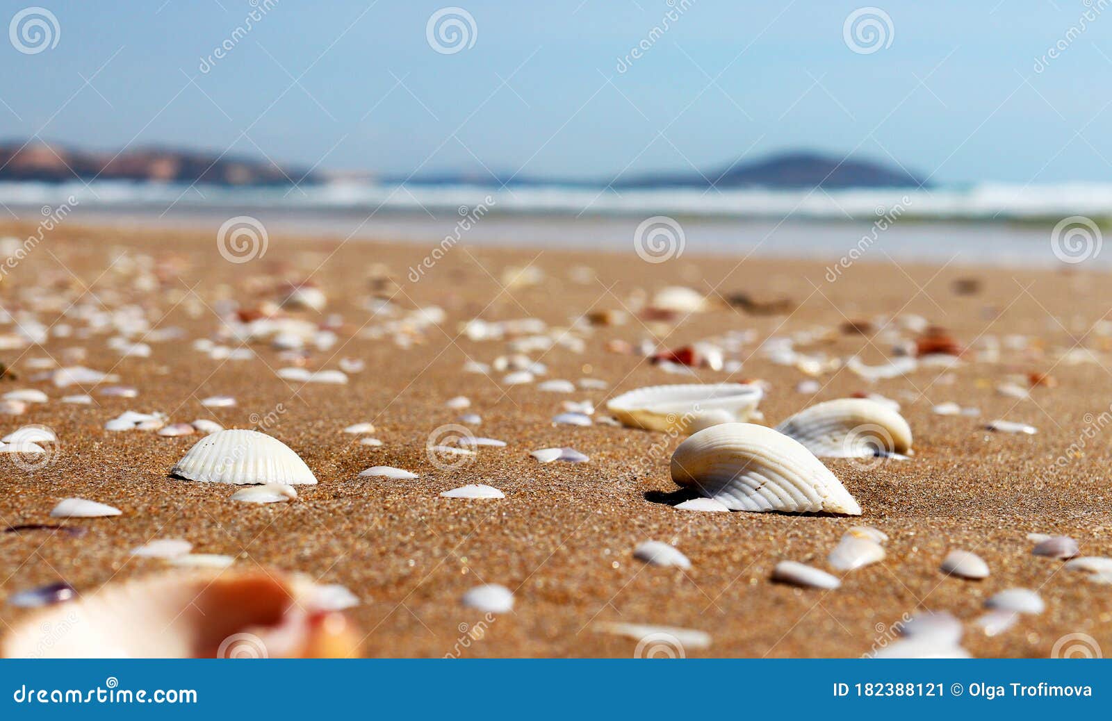 40,000+ Best Seashore Photos · 100% Free Download · Pexels Stock Photos