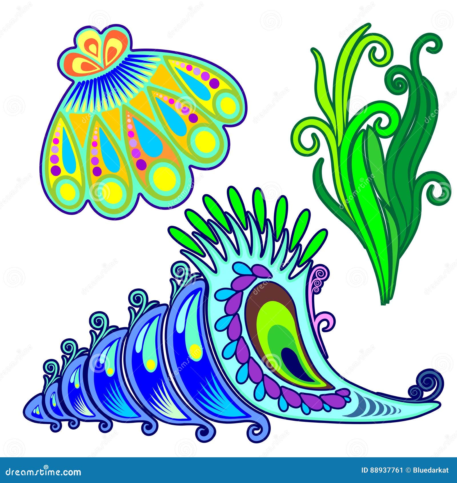 seashells and seaweed decorative s