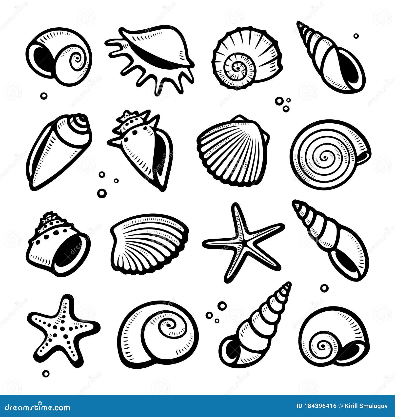 Illustration Seashells Collection
