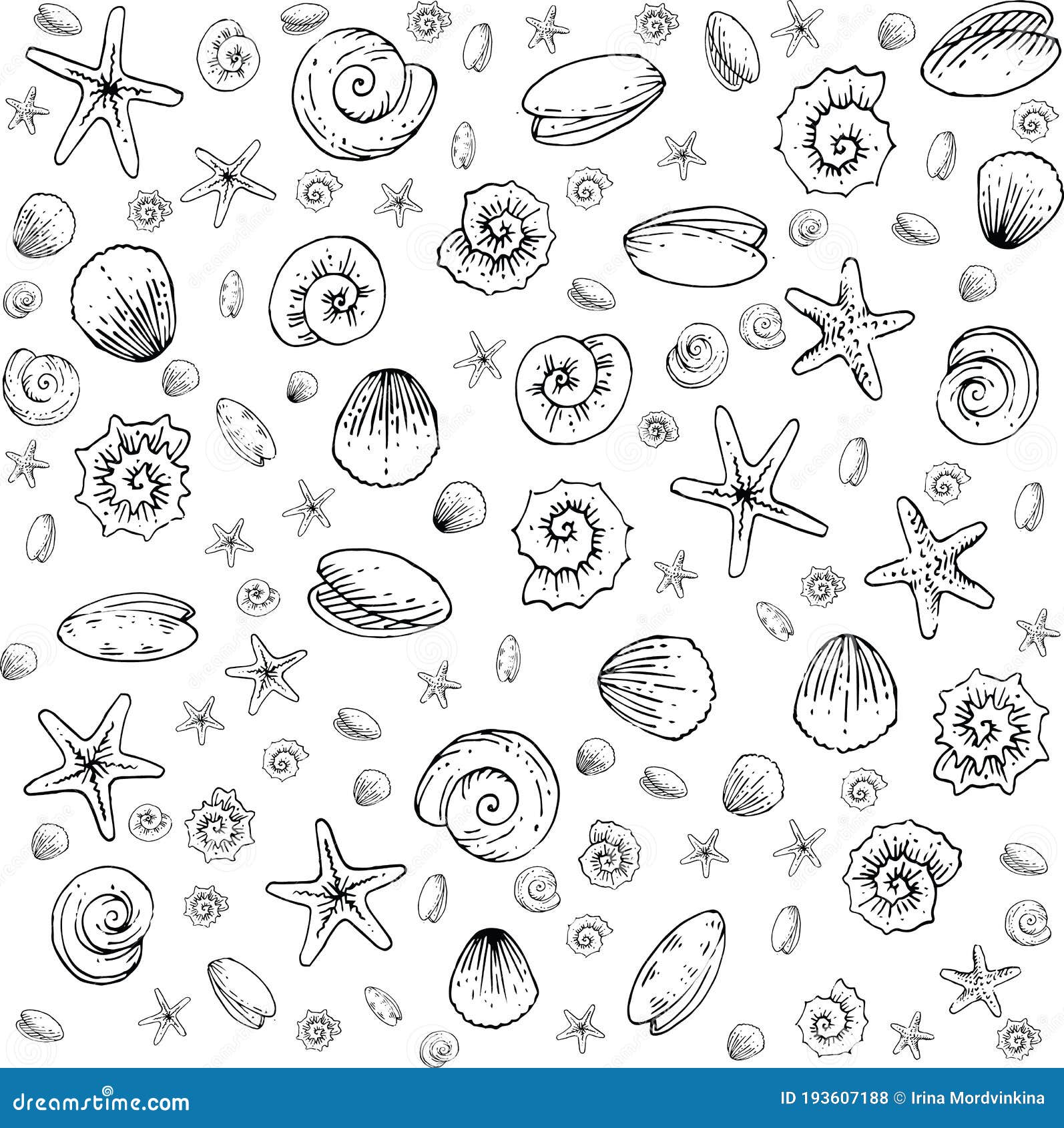 seashells, snails, starfish, rapanas. outline hand drawing.   object on white background. inhabitants of the ocean